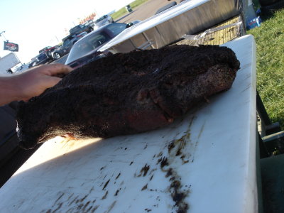 Giant hunk of beef