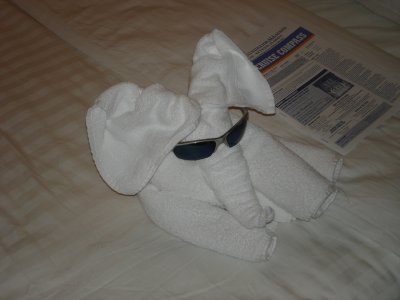 Towelephant