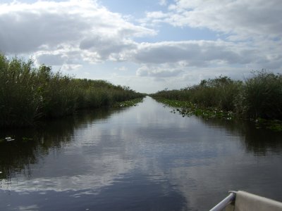 The airboat highway