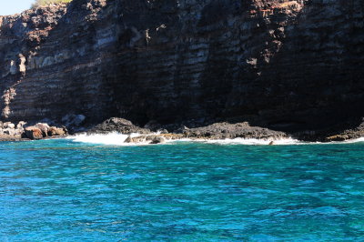 Backside of Lanai
