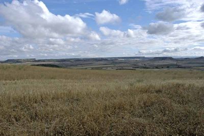 BARDENAS REALES DE NAVARRA - LA BLANCA (The White part)