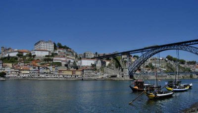 Porto 7236
