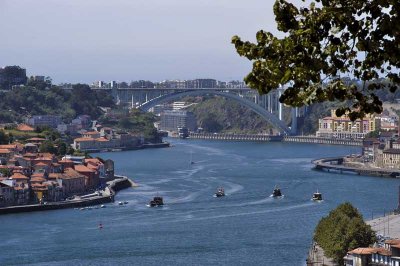 Porto - Douro River 7239