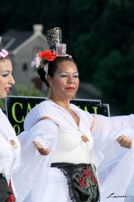 Carnival of Cultures 394