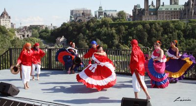 Carnival of Cultures 8876