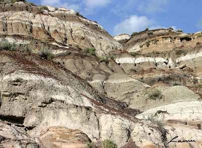 Drumheller Hills 98