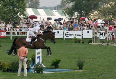 horse jumping 3674