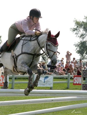 horse jumping 2612