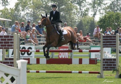 horse jumping 2608