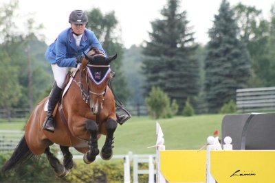 horse jumping 5047