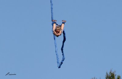 Bungee