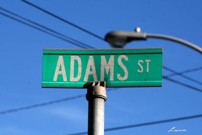 Adams 8391