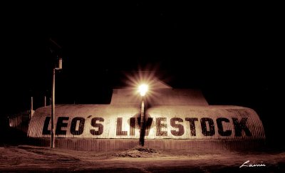 Leo's Livestock 8281 night photo
