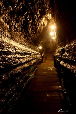 Bonnechere Caves 9830