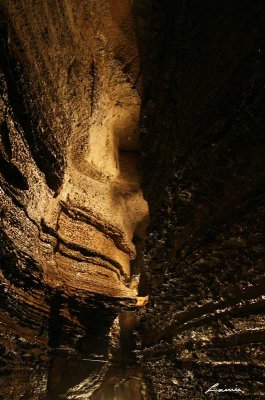 Bonnechere Caves 9856