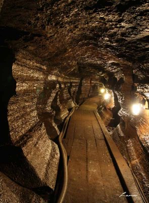 Bonnechere Caves 9903