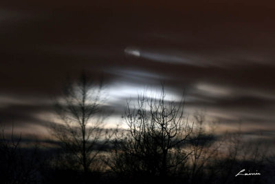 moon 3153 night photo
