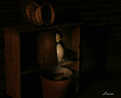 duck 6640 night photo