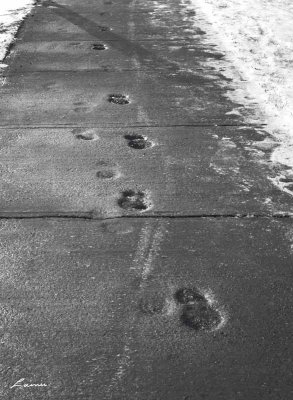 permanent steps 6673 night photo
