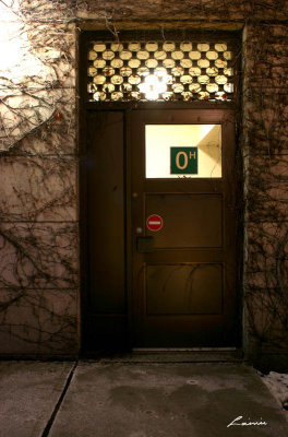Oh no entry 6790 night photo