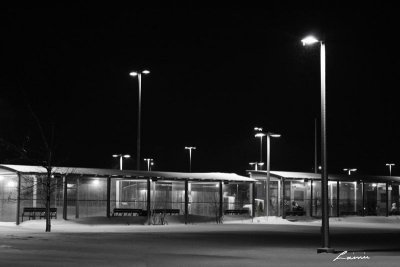 waiting for a warm bus 8559 night photo