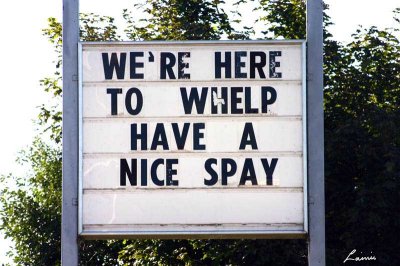 have a nice spay