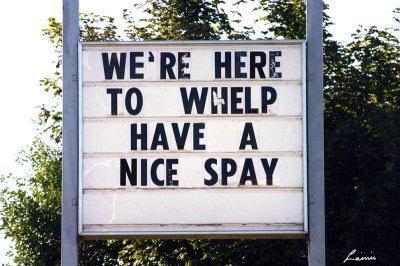 have a nice spay 