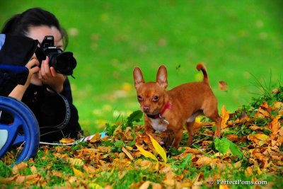 Oct5_08_438.JPG