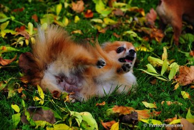 Oct5_08_352.JPG