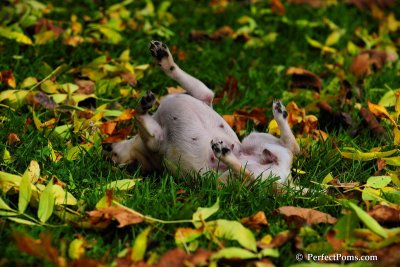 Oct5_08_355.JPG