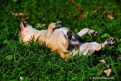 Oct7_08_222.jpg