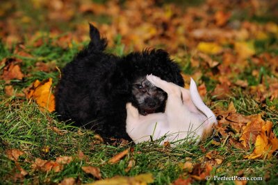 Oct19_08_925.jpg