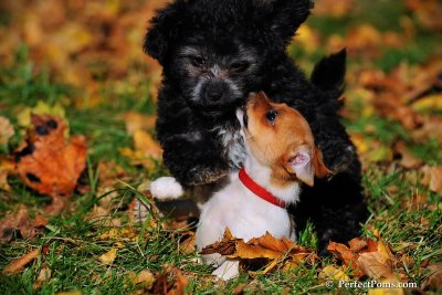 Oct19_08_930.jpg