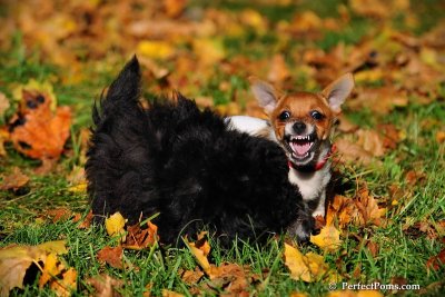 Oct19_08_935.jpg