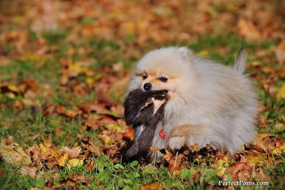 Oct19_08_803.jpg