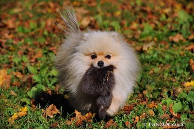 Oct19_08_804.JPG