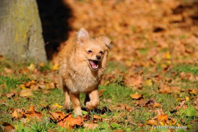Oct19_08_805.jpg