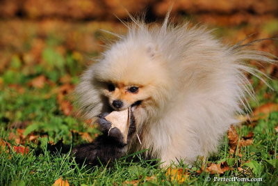 Oct19_08_810.jpg