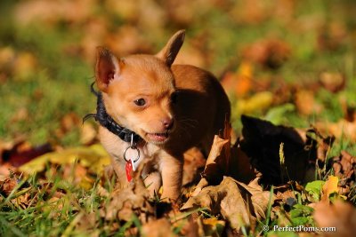 Oct19_08_822.jpg