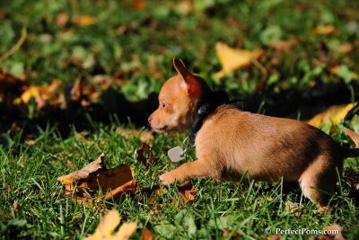 Oct19_08_838.jpg