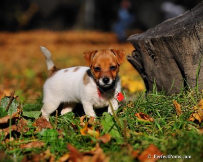 Oct19_08_842.JPG