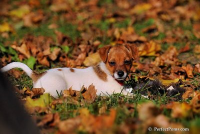 Oct19_08_846.jpg