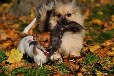 Oct19_08_850.JPG
