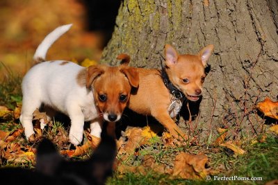 Oct19_08_953.jpg
