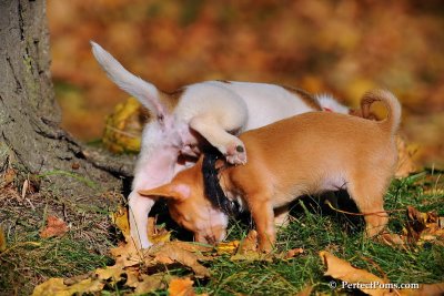 Oct19_08_962.jpg