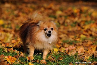 Oct19_08_974.jpg