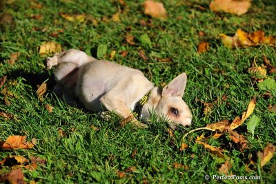 Oct19_08_976.jpg