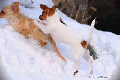 Jan23_08_242.JPG