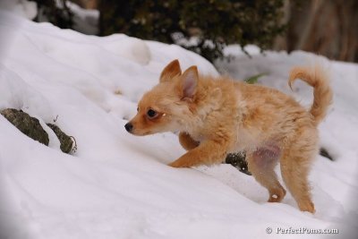 Jan23_08_266.jpg