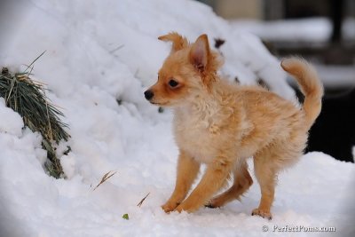 Jan23_08_271.jpg